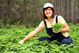 The Incredible Organic Nettle 2000mg - Food Supplement